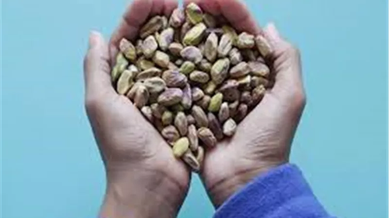 الاثار الصحية لتدرج الفستق في النظام الغذائي