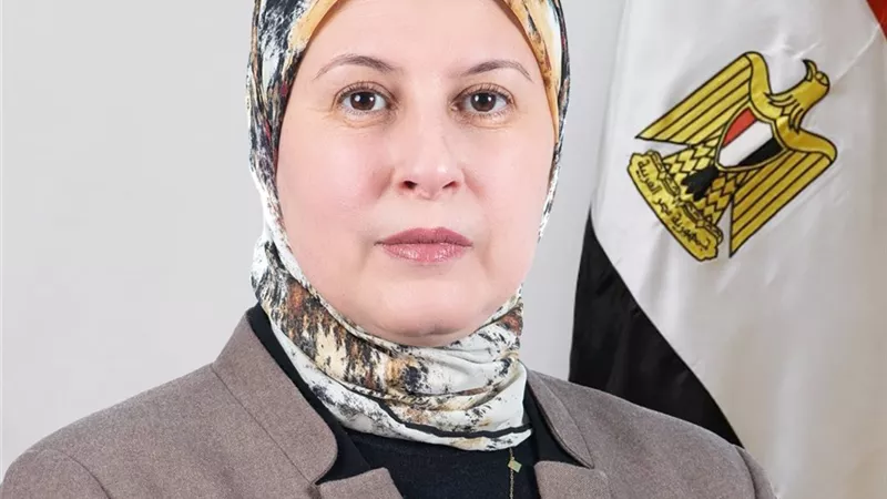 تجديد تعيين د.هالة رمضان مديرًا للمركز القومي للبحوث الاجتماعية