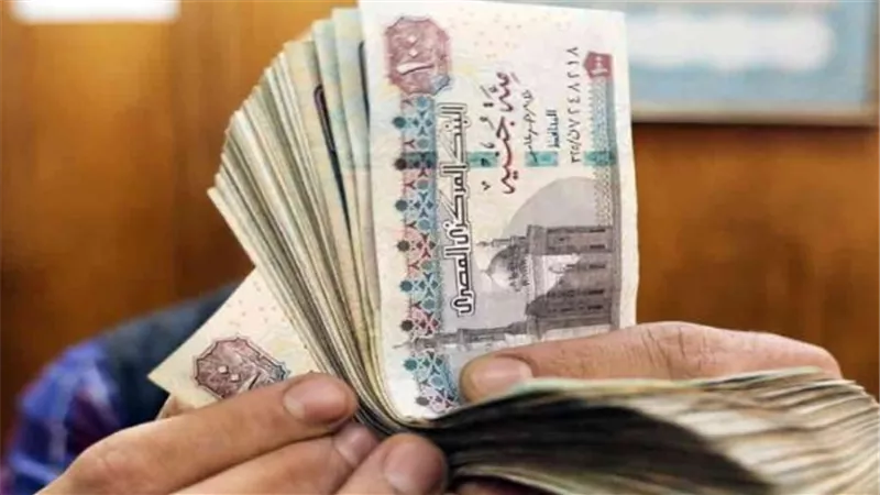 المالية تعلن مواعيد صرف مرتبات شهر ديسمبر 2024