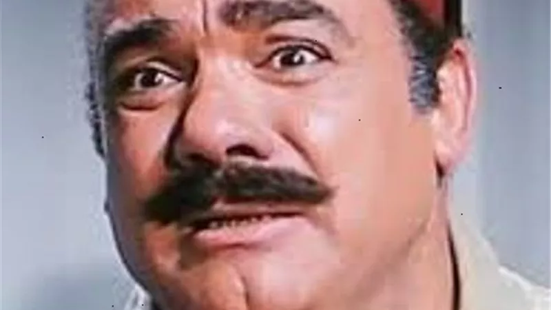 ساكن قصادى ..رضا بوند .. على بيه مظهر ..أشهر أعمال محمد رضا