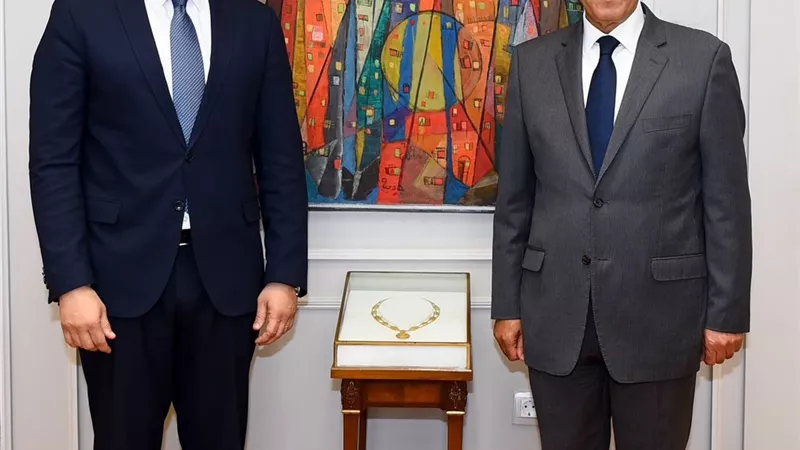 وزير الخارجية يستقبل المرشح المصري لمنصب مدير عام اليونسكو