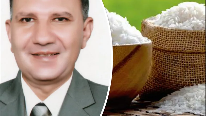 تراجع أسعار الأرز محليا وعالميا