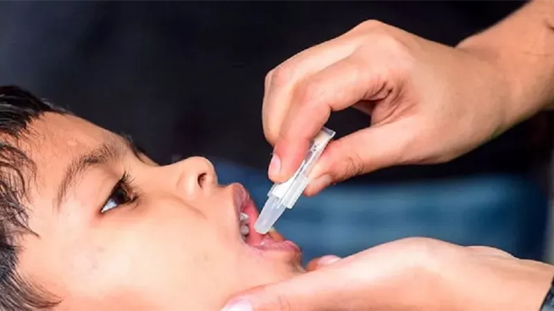 هل تتعارض التطعيمات مع المضاد الحيوي ؟ فاكسيرا تجيب