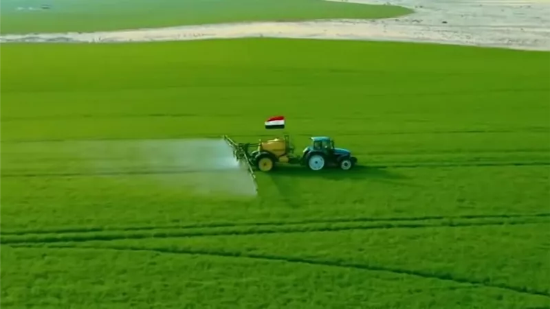 الزراعة: مصر تستهدف استصلاح 4 ملايين فدان لتعزيز الأمن الغذائى