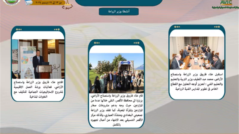 بالانفوجراف 