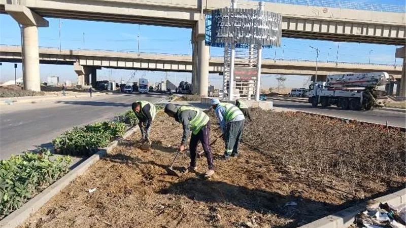 خطوة هامة من جهاز بدر بشأن تجميل أحد المداخل الرئيسى للمدينة.. بالصور