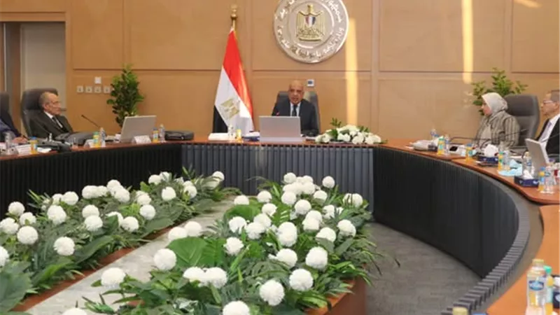 الكهرباء: إجراءات لمنع السرقات وحماية الشبكة من الأحمال غير القانونية