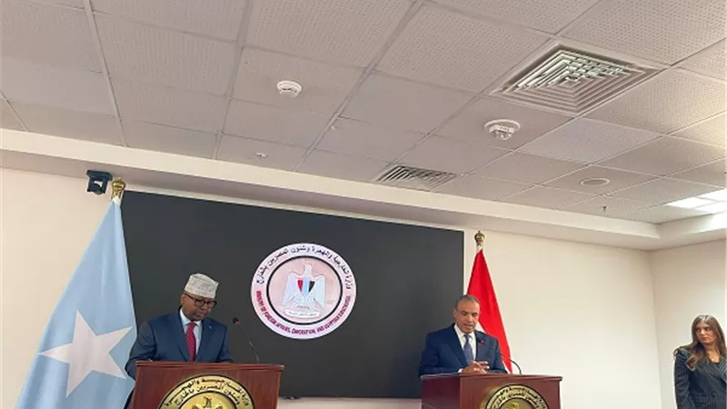 وزير الخارجية الصومالي: دور مشرف لمصر في الوقوف بجانب بلادي