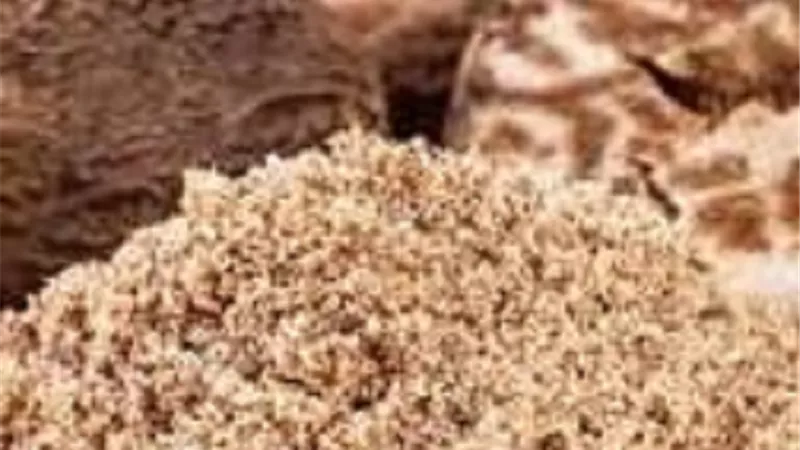 ضوابط حلية الطهى بجوزة الطيب والتجارة فيها