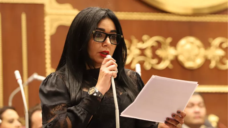 النائبة ريهام عفيفي تشيد بقرار العفو عن 54 من المحكوم عليهم