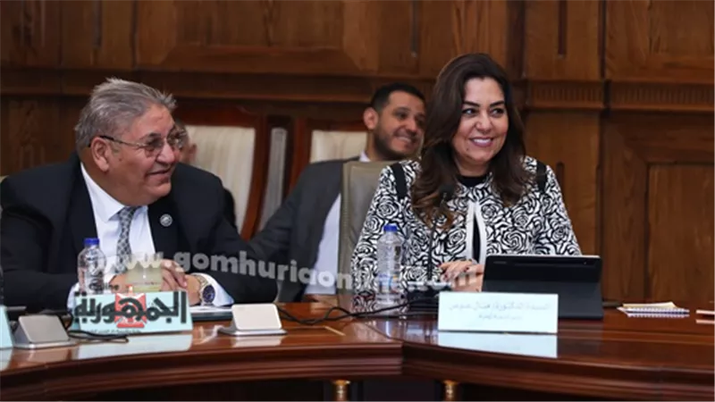 وزيرة التنمية المحلية تكشف خطة وقف ظاهرة انتشار الحيوانات الضالة