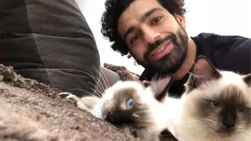 نجم ليفربول يُطالب محمد صلاح بعدم الكشف عن فيديو القطة