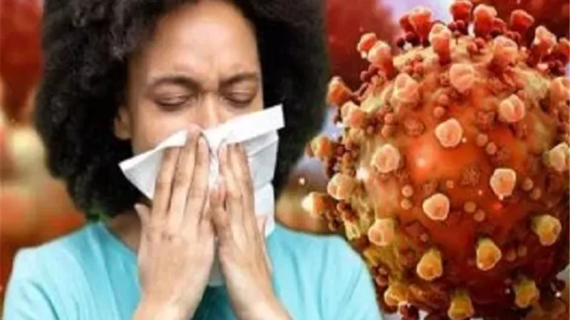 حسام حسني: فيروس تنفسي منتشر وكورونا لم تصل مصر