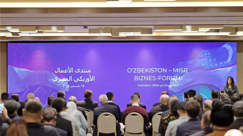 المشاط: الحكومة تنفذ رؤية واضحة لتمكين القطاع الخاص المحلي والأجنبي
