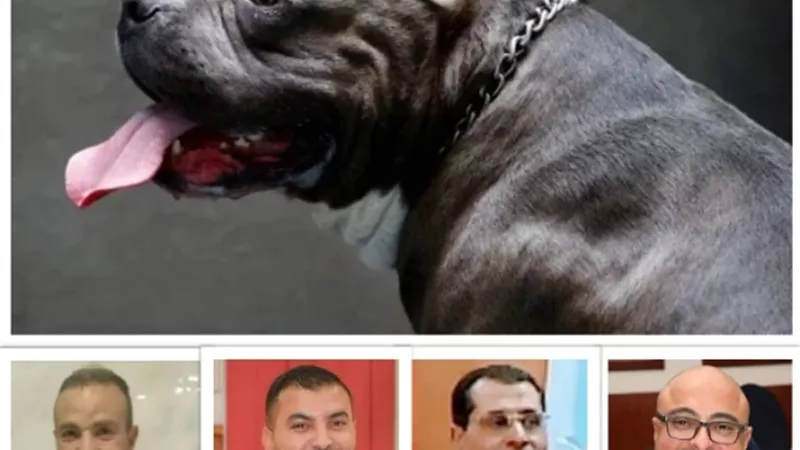 اصطحاب الكلاب الشرسة للشوارع والتجمعات.. خطر يهدد المجتمعات!!