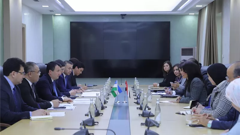 المشاط تبحث مع مسؤولي أوزبكستان مستقبل العلاقات الاقتصادية
