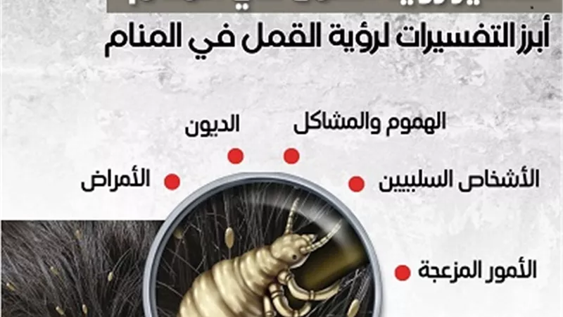 الهمس والنميمة .. أبرز التفسيرات لرؤية القمل في المنام.. انفوجراف