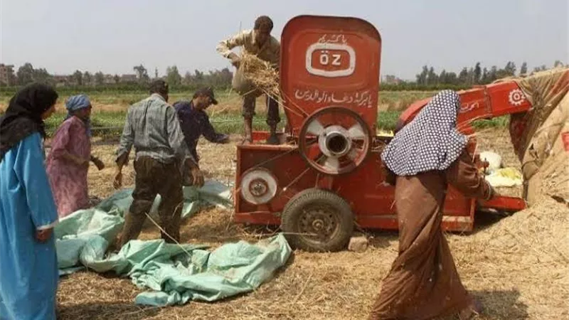 ماكينه دراسه الارز التهمت ذراع مزارع بالدقهلية