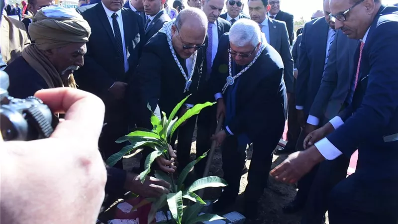 وزير التعليم العالي ورئيس جامعة سوهاج يشاركان زراعة ٦٠ شجرة مثمرة