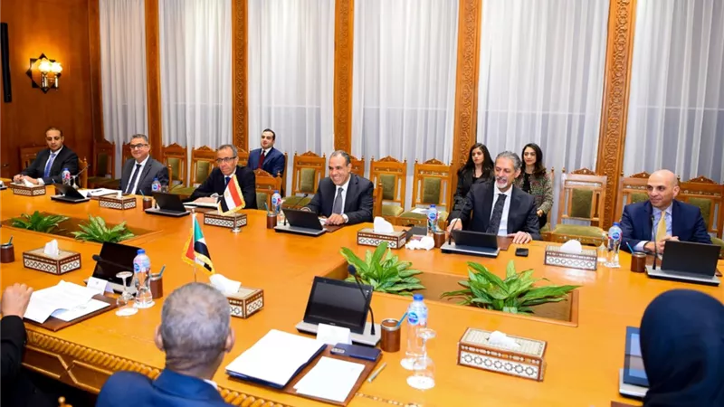 وزير الخارجية يؤكد لنظيره السودانى دعم مصر الكامل لبلاده لتحقيق الاستقرار