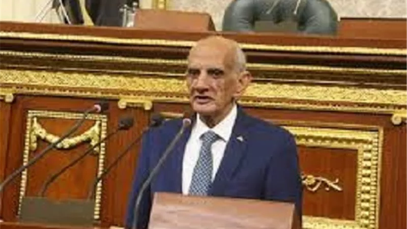 نائب يطلب السماح بإدخال الياميش مع المصريين بالخارج
