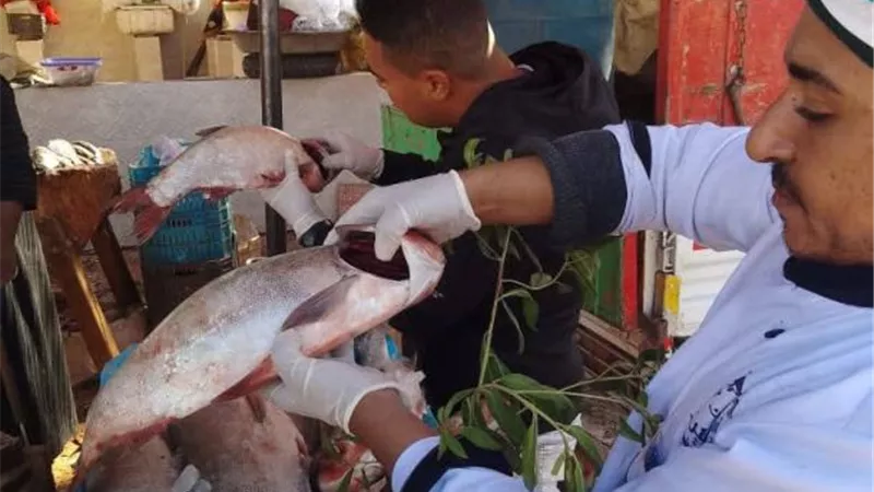 اعدام اغذية منتهية الصلاحية فى الوادي الجديد