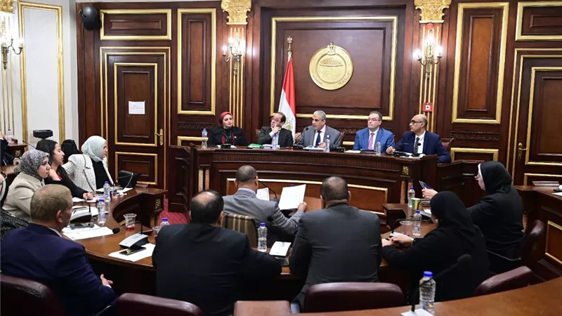 البرلمان يوافق على ٣١ مادة من مواد من قانون الإجراءات الجنائية الجديد.. أعرف التفاصيل