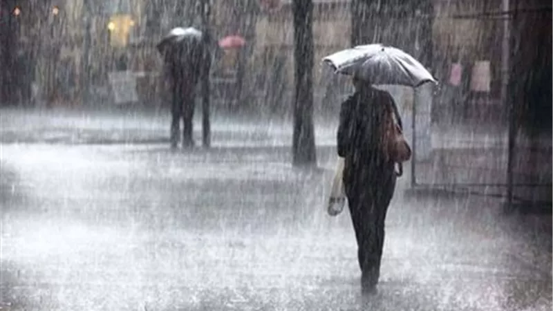 هطول أمطار على جميع أنحاء محافظة الغربية