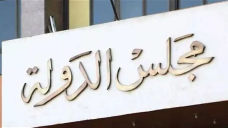 خطوات إقامة الدعاوى أمام محاكم مجلس الدولة