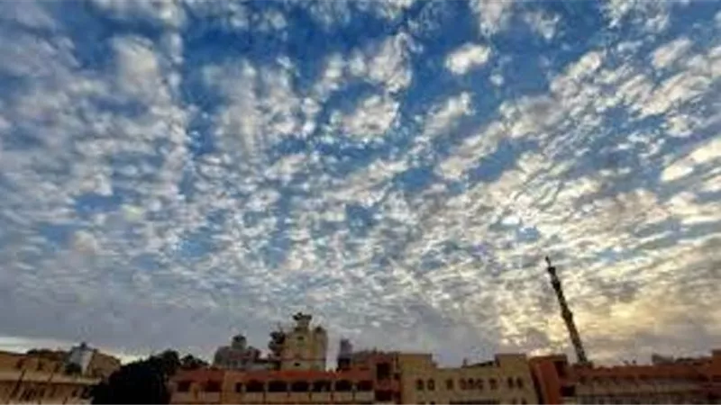 طقس أول أيام العام الجديد.. بارد وأمطار على هذه المناطق