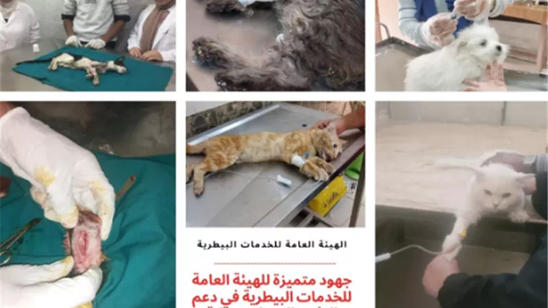 الزراعة: حصاد وأنشطة الخدمات البيطرية في التحصين