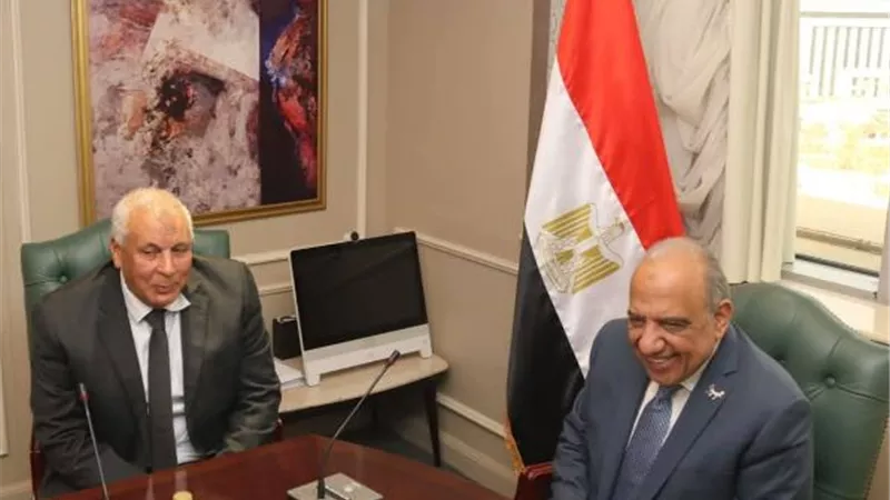 وزير الكهرباء يلتقي محافظ الوادي الجديد