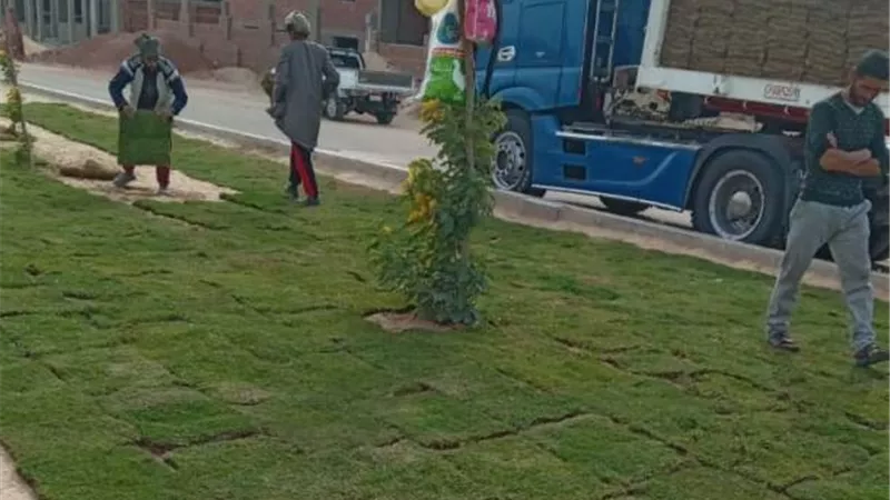 جهاز سوهاج الجديدة يكشف عن أحدث مشروعات الزراعة بالمدينة.. صور
