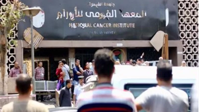 حقيقة اكتشاف طالبة بالمنوفية عقارا يستخدم فى علاج الأورام