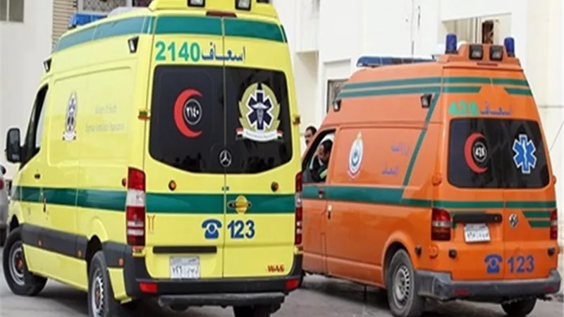 مصرع 3 اشخاص وإصابة 13 آخرون في حادث تصادم سيارتين بالشرقية