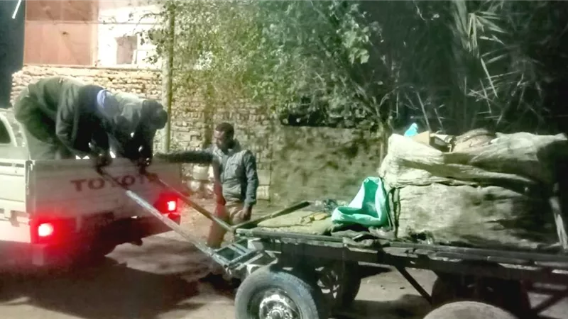 مصادرة 20 عربة كارو يستخدمها 