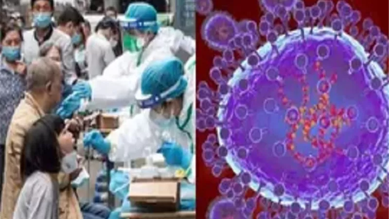 المصل واللقاح : إنفلوانزا لطيور أخطر من فيروس HMPV