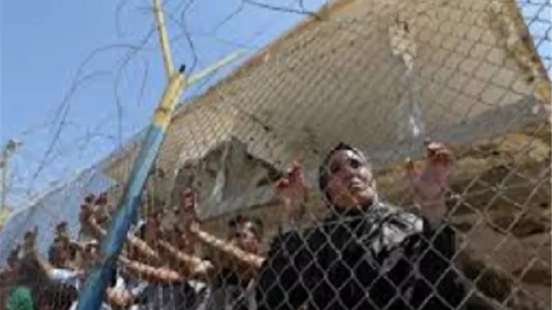 رشوان: 