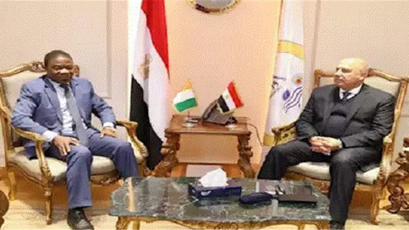 توجيهات رئاسية بزيادة حجم التعاون الصناعي مع الدول الإفريقية