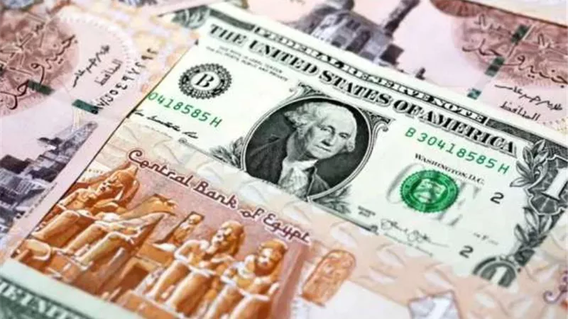 الدولار يتراجع 6 قروش أمام الجنيه في البنوك المصرية