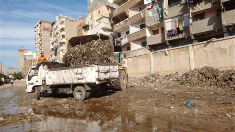 رفع 230 الف طن قمامة بشرق الاسكندرية