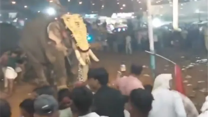 فيل يهاجم حشدا من الناس أثناء مهرجان في الهند.. بالفيديو