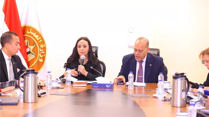 وزيرا التضامن والعمل يترأسان اجتماع لجنة إعداد مشروع قانون العمالة المنزلية