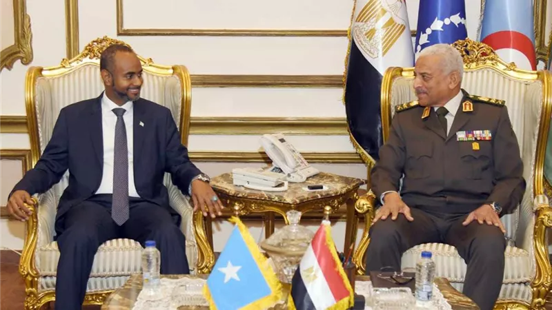 الفريق أول عبد المجيد صقر يلتقى وزير الدفاع الصومالى