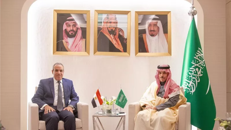 وزيرا خارجية مصر والسعودية يؤكدان أهمية احترام سيادة سوريا وسلامة أراضيها