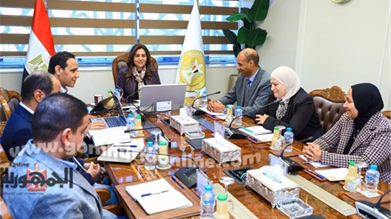وزيرة التنمية المحلية تستعرض موقف مشروعات حياة كريمة