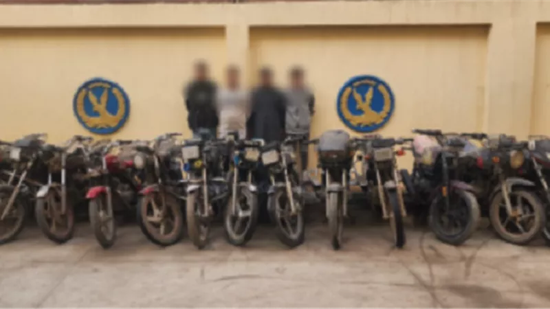 الداخلية تضبط حرامية الشوارع والشقق السكنية في 3 محافظات