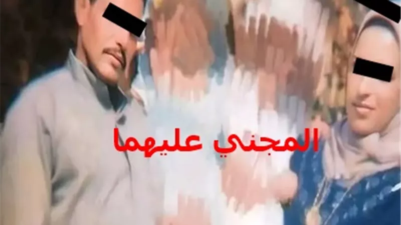 المسجلان قتلا تاجر أعلاف وزوجته بقرية دلهمو .. جريمة هزت المنوفية
