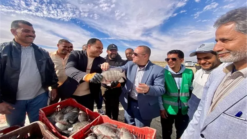 صحراءالفرافرة تكتسى بالاسماك وسط فرحةمن الأهالى واقبال على الشراء