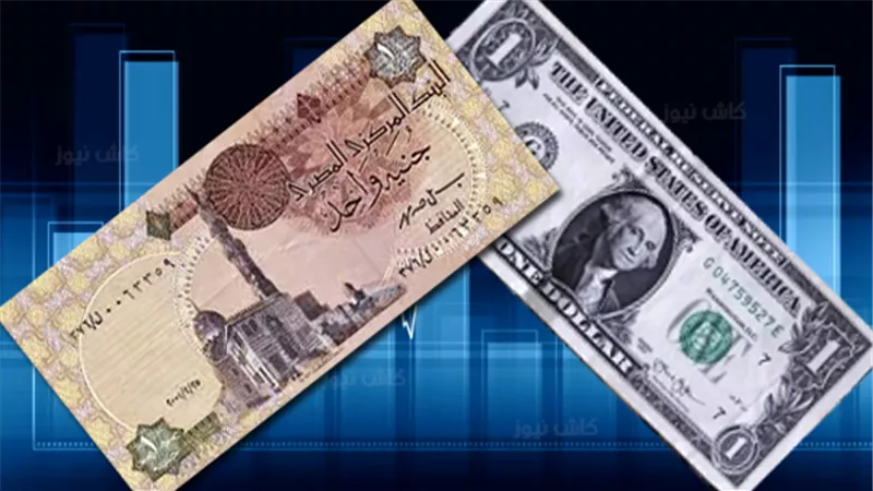 الدولار يتراجع إلى 50.30 جنيه بختام تعاملات الأسبوع بالبنوك